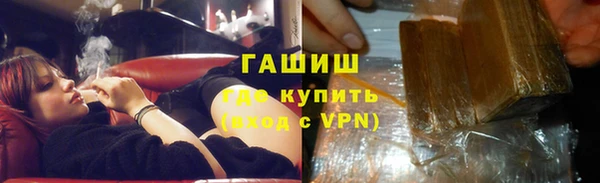 гашик Алексин